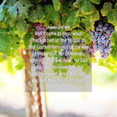Picture 04 - Exodus 13:17 ASV - And it came to pass, when Pharaoh had let the - Bible Verse Picture