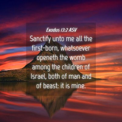 Picture 04 - Exodus 13:2 ASV - Sanctify unto me all the first-born, whatsoever - Bible Verse Picture