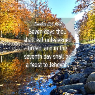 Picture 04 - Exodus 13:6 ASV - Seven days thou shalt eat unleavened bread, and - Bible Verse Picture