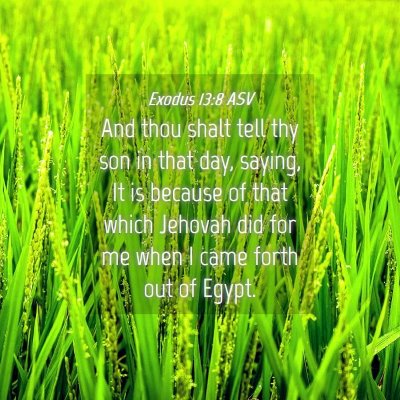 Picture 04 - Exodus 13:8 ASV - And thou shalt tell thy son in that day, saying, - Bible Verse Picture