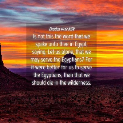 Picture 04 - Exodus 14:12 ASV - Is not this the word that we spake unto thee in - Bible Verse Picture