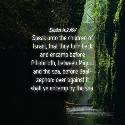 Picture 04 - Exodus 14:2 ASV - Speak unto the children of Israel, that they turn - Bible Verse Picture