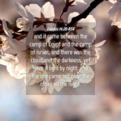 Picture 04 - Exodus 14:20 ASV - and it came between the camp of Egypt and the - Bible Verse Picture
