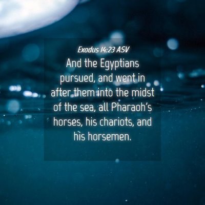 Picture 04 - Exodus 14:23 ASV - And the Egyptians pursued, and went in after them - Bible Verse Picture