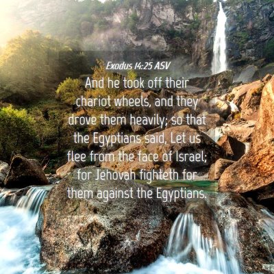 Picture 04 - Exodus 14:25 ASV - And he took off their chariot wheels, and they - Bible Verse Picture