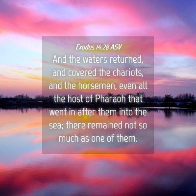 Picture 04 - Exodus 14:28 ASV - And the waters returned, and covered the - Bible Verse Picture