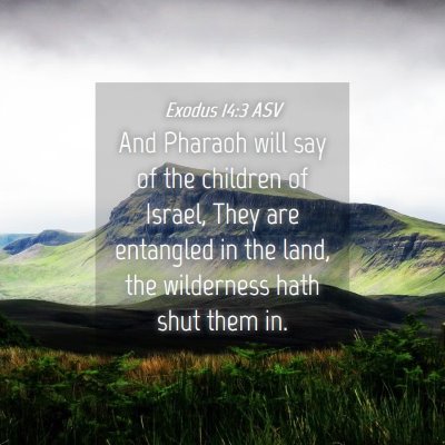 Picture 04 - Exodus 14:3 ASV - And Pharaoh will say of the children of Israel, - Bible Verse Picture