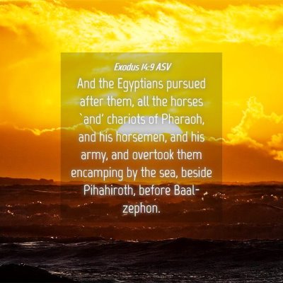 Picture 04 - Exodus 14:9 ASV - And the Egyptians pursued after them, all the - Bible Verse Picture