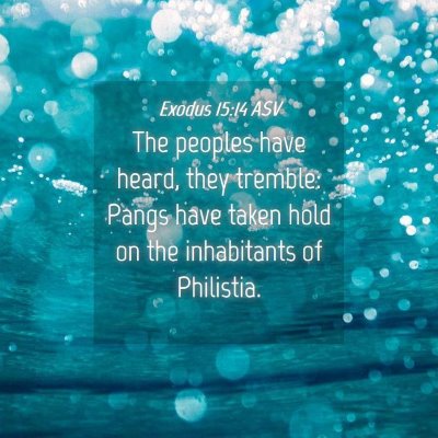 Picture 04 - Exodus 15:14 ASV - The peoples have heard, they tremble: Pangs have - Bible Verse Picture