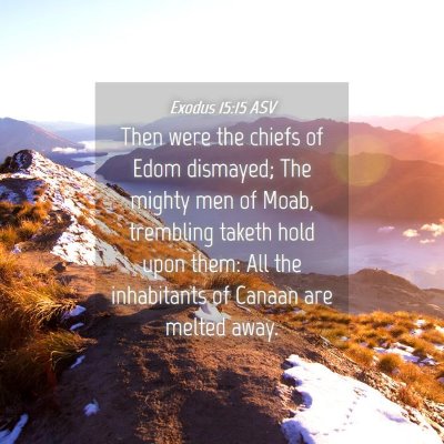 Picture 04 - Exodus 15:15 ASV - Then were the chiefs of Edom dismayed; The mighty - Bible Verse Picture
