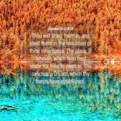 Picture 04 - Exodus 15:17 ASV - Thou wilt bring them in, and plant them in the - Bible Verse Picture