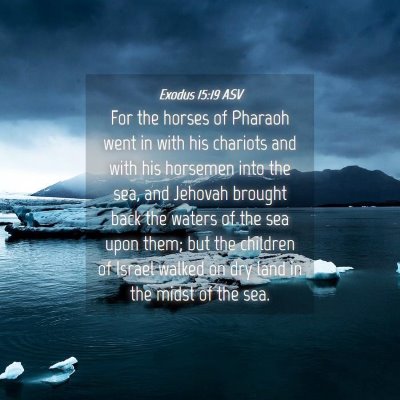 Picture 04 - Exodus 15:19 ASV - For the horses of Pharaoh went in with his - Bible Verse Picture