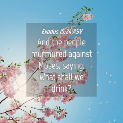 Picture 04 - Exodus 15:24 ASV - And the people murmured against Moses, saying, - Bible Verse Picture
