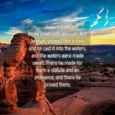 Picture 04 - Exodus 15:25 ASV - An he cried unto Jehovah; And Jehovah showed him - Bible Verse Picture