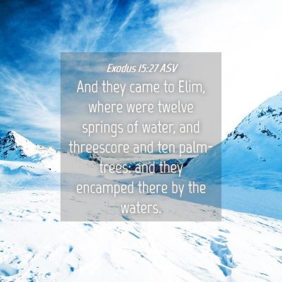 Picture 04 - Exodus 15:27 ASV - And they came to Elim, where were twelve springs - Bible Verse Picture
