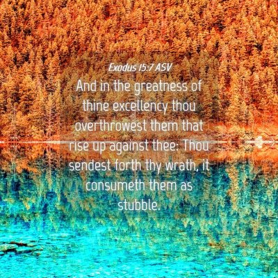 Picture 04 - Exodus 15:7 ASV - And in the greatness of thine excellency thou - Bible Verse Picture