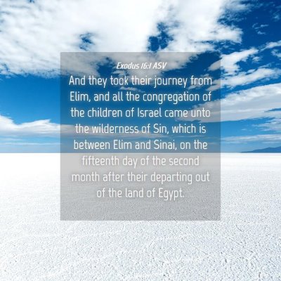 Picture 04 - Exodus 16:1 ASV - And they took their journey from Elim, and all - Bible Verse Picture