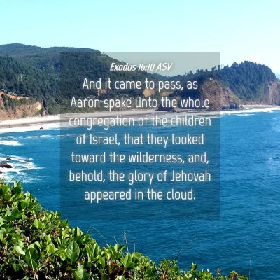 Picture 04 - Exodus 16:10 ASV - And it came to pass, as Aaron spake unto the - Bible Verse Picture