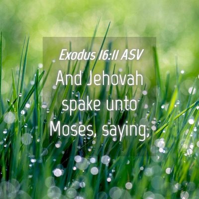 Picture 04 - Exodus 16:11 ASV - And Jehovah spake unto Moses, - Bible Verse Picture