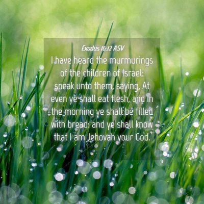 Picture 04 - Exodus 16:12 ASV - I have heard the murmurings of the children of - Bible Verse Picture