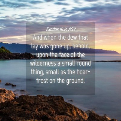 Picture 04 - Exodus 16:14 ASV - And when the dew that lay was gone up, behold, - Bible Verse Picture