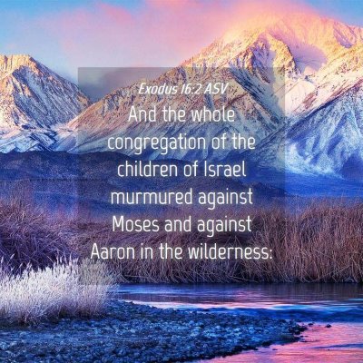Picture 04 - Exodus 16:2 ASV - And the whole congregation of the children of - Bible Verse Picture