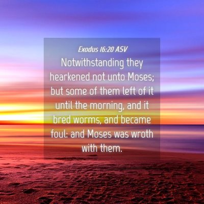 Picture 04 - Exodus 16:20 ASV - Notwithstanding they hearkened not unto Moses; - Bible Verse Picture