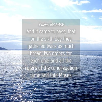 Picture 04 - Exodus 16:22 ASV - And it came to pass, that on the sixth day they - Bible Verse Picture