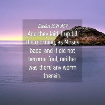 Picture 04 - Exodus 16:24 ASV - And they laid it up till the morning, as Moses - Bible Verse Picture
