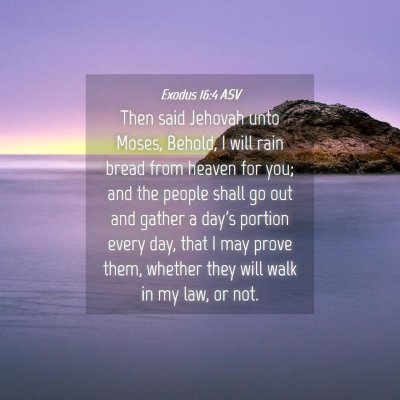 Picture 04 - Exodus 16:4 ASV - Then said Jehovah unto Moses, Behold, I will rain - Bible Verse Picture