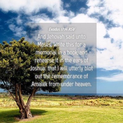 Picture 04 - Exodus 17:14 ASV - And Jehovah said unto Moses, Write this for a - Bible Verse Picture