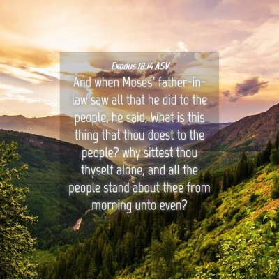 Picture 04 - Exodus 18:14 ASV - And when Moses' father-in-law saw all that he did - Bible Verse Picture
