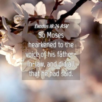 Picture 04 - Exodus 18:24 ASV - So Moses hearkened to the voice of his - Bible Verse Picture