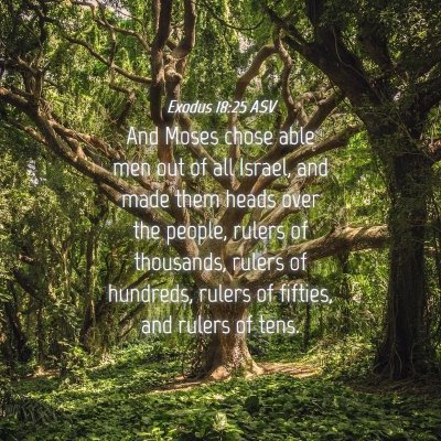Picture 04 - Exodus 18:25 ASV - And Moses chose able men out of all Israel, and - Bible Verse Picture