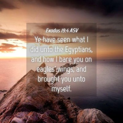 Picture 04 - Exodus 19:4 ASV - Ye have seen what I did unto the Egyptians, and - Bible Verse Picture