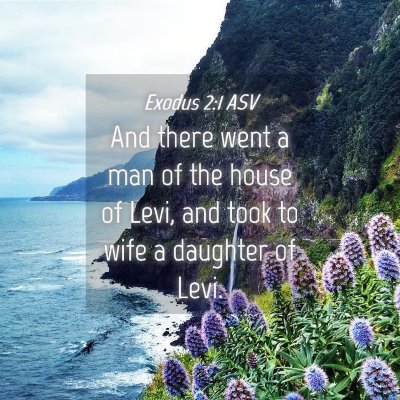 Picture 04 - Exodus 2:1 ASV - And there went a man of the house of Levi, and - Bible Verse Picture