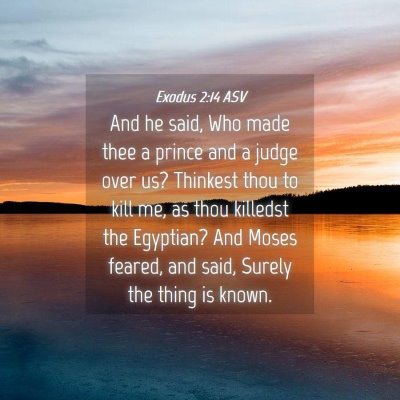 Picture 04 - Exodus 2:14 ASV - And he said, Who made thee a prince and a judge - Bible Verse Picture