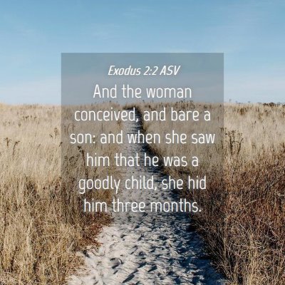 Picture 04 - Exodus 2:2 ASV - And the woman conceived, and bare a son: and when - Bible Verse Picture