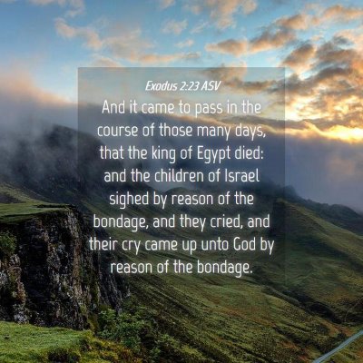 Picture 04 - Exodus 2:23 ASV - And it came to pass in the course of those many - Bible Verse Picture