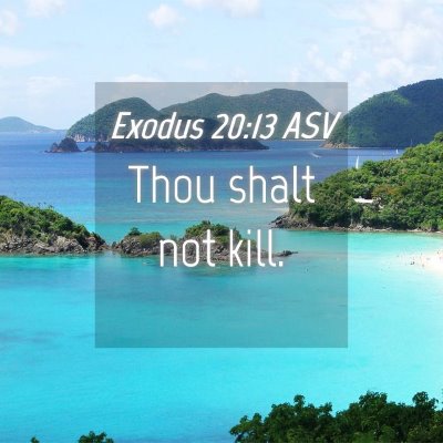 Picture 04 - Exodus 20:13 ASV - Thou shalt not - Bible Verse Picture
