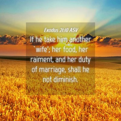 Picture 04 - Exodus 21:10 ASV - If he take him another `wife'; her food, her - Bible Verse Picture