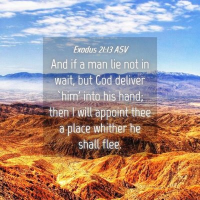Picture 04 - Exodus 21:13 ASV - And if a man lie not in wait, but God deliver - Bible Verse Picture