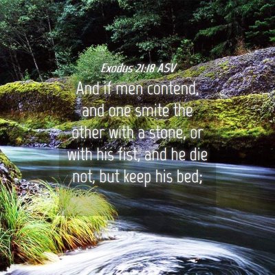 Picture 04 - Exodus 21:18 ASV - And if men contend, and one smite the other with - Bible Verse Picture