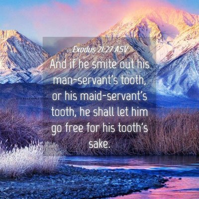 Picture 04 - Exodus 21:27 ASV - And if he smite out his man-servant's tooth, or - Bible Verse Picture