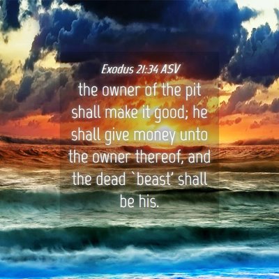 Picture 04 - Exodus 21:34 ASV - the owner of the pit shall make it good; he shall - Bible Verse Picture