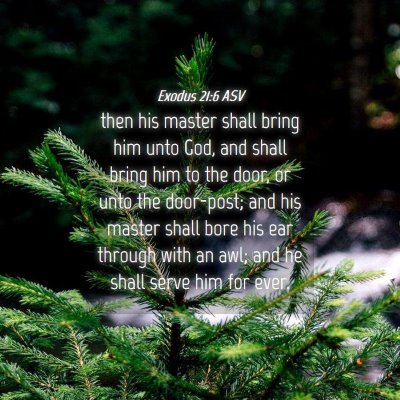 Picture 04 - Exodus 21:6 ASV - then his master shall bring him unto God, and - Bible Verse Picture