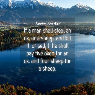 Picture 04 - Exodus 22:1 ASV - If a man shall steal an ox, or a sheep, and kill - Bible Verse Picture