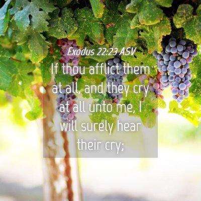Picture 04 - Exodus 22:23 ASV - If thou afflict them at all, and they cry at all - Bible Verse Picture