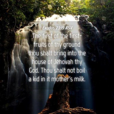 Picture 04 - Exodus 23:19 ASV - The first of the first-fruits of thy ground thou - Bible Verse Picture
