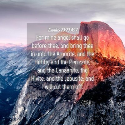 Picture 04 - Exodus 23:23 ASV - For mine angel shall go before thee, and bring - Bible Verse Picture
